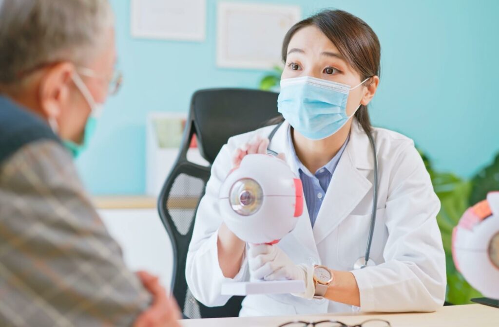 An eye doctor uses an anatomical eye model to explain how eye diseases affect vision and ocular health.